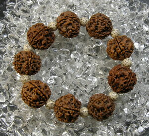 5L h[NV20mm&8mm uXbg B1rud005 Ñ̐TŐ^ꂽ_Ȃ