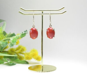 N] L[vCg I[o14~sAX@H&EЏؖt@n[gɊ͂^ ccp588p001