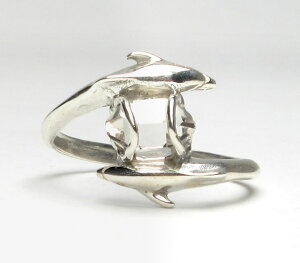 n[L}[_C ΃O htBO 12 H&E h[NX^ VR p[Xg[@ha207r005