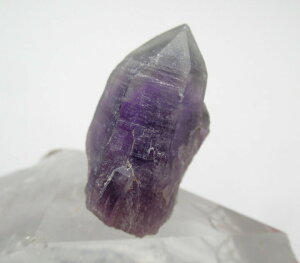 y5%OFFN[| 11/3-5 zQAWXg Bꂽ̂ւƓm̐ ameg019