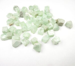 y11/1.2 10%OFFN[|zO[A|tBCg  2Zbg H&E wuAhA[X ̐΂⓮AƂ̑Θb𑣂 apog139