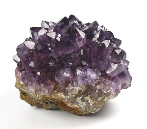 AWXg NX^[ 231g EOACY ۂ݂ یÃoX _IȐT|[g VR p[Xg[ ame302