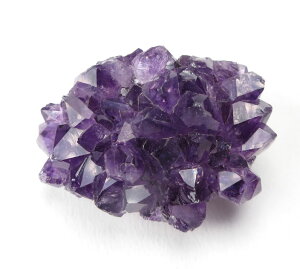 AWXg NX^[ 33g EOACY  ی ̃oX _IȐT|[g VR p[Xg[ ame307