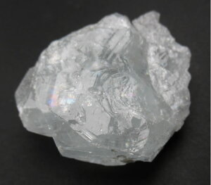 y5%OFFN[| 11/3-5 zANA}  lԊ֌W  LȑnI\ ꉻ\ _Ƃ̃R~jP[V p[Xg[ aq145