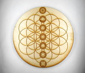 }_ NX^Obh H&E `Np[ a14cm ؐ cg029