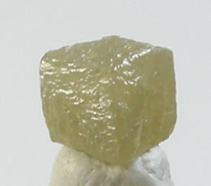 y5%OFFN[| 11/3-5 z_CAh _̃GlM[Ƀ_CNgɌqA͂ƑA@炷ȃGlM[̐ dia006