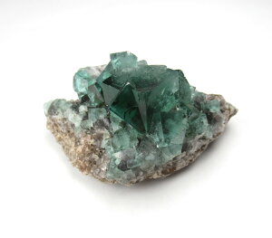 t[Cg 54g J[`FW CMX W[zRY H 荢 ^ m q[O p[Xg[ VR  flub122