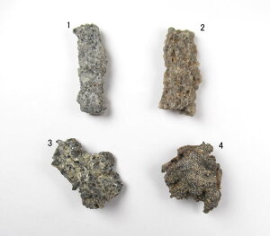 tOCg ђʌ cȃGlM[VgT_tH̐ flug092