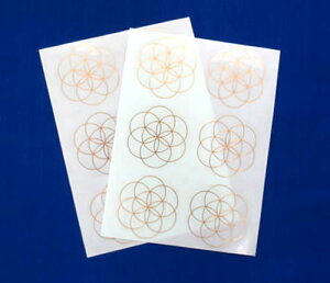 yA^Cv38mm6zV[hIuCt 38mmV[ 6 _􉽊w}` XebJ[ folst064