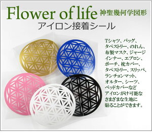 yACڒV[ 2.5cm2zt[IuCt ^gL[u V[hIuCt z}XN TVc Gv |[` Jo[ folst701