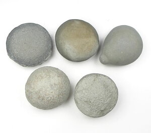 �t�F�A���[�G�b�O �t�F�A���[�V�[�h H&E�� �d�� ������n���Ƃ̂Ȃ��� �����̑��݂ւ̊�� �t�F�A���[�X�g�[�� fs044