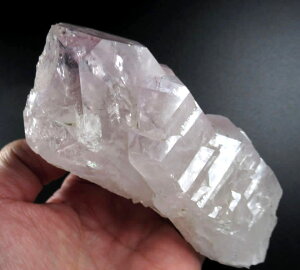 Kl[Vq}[ AWXg JV[h 550g  ϋH 荢 q}̐ȃGlM[ ی p[Xg[ VR gane077