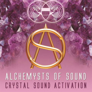 H&E�Ѓ��f�B�e�[�V����CD �y�N���X�^���T�E���h�A�N�e�B�x�[�V�����z�V�����Y���̃Z�~�i�[�Ŏg�p �ґz hcd01