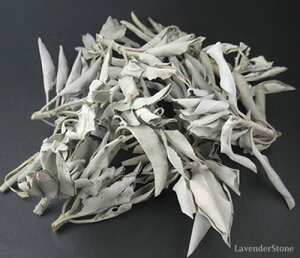 zCgZ[W 20gZbg JtHjAY@΂̃PA  q[O@tbV@p[`[W@jg011