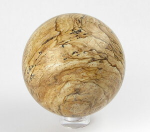 sN`[WXp[ 50mm XtBA ۋ CXs[V ȂrWo ґz @ OEfBO VR p[Xg[ jasper006