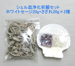 VFM򉻋FZbg/zCgZ[W 20g+2E΂̃PA q[O@tbV@p[`[W@ jg08