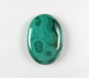 y5%OFFN[| 11/3-5 z}JCg[X MȂ鋭ƍs͂炷|WeBuXg[ p[Xg[ malac055