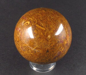 q}Y}AXg[ 50mmXtBA ۋ }A̐_Ȃ mariya013