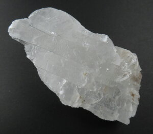 iCJZiCg 80g 㕔`N̐Ȃ^Y} XsbgKChK[fBAGWFƂ̌M VR naica065