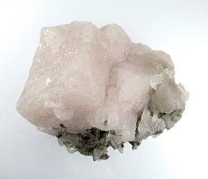 y11/1.2 10%OFFN[|zsNJTCg  uq[OA[Ƌ̐ pinkcalo039