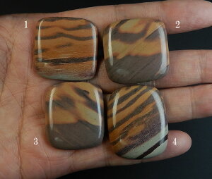 vgXg[|bV Nw̐ print023