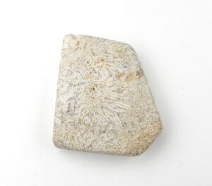 pNCg ^u 5.2g H&EЏؖt nC̏_y̎o n̐͂̐ wuAhA[X VR p[Xg[ pak018