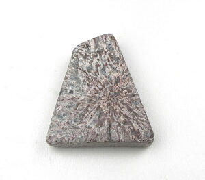 pNCg ^u 5.6g H&EЏؖt nC̏_y̎o n̐͂̐ wuAhA[X VR p[Xg[ pak019