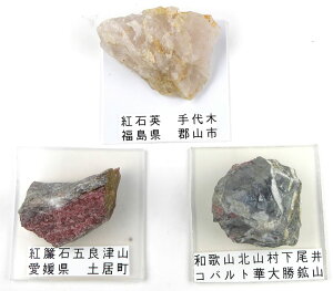 {Y [YNH[c s[^Cg GXCg 3_Zbg gΉp g Rog Y VR p[Xg[ jrose001