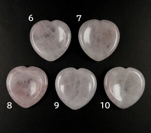 EH[[Xg[ [YNH[c 4Z` tFCV}bT[W  ANZT[u p[Xg[ {fBCAEg rose070