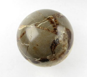 Zv^AihSXg[j54mm XtBA O̐S𓾂ăJX}߂ VR p[Xg[ CeA ւ sep024