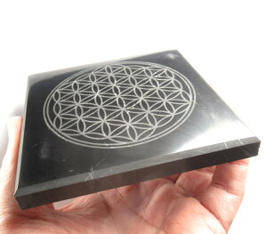 �V�����K�C�g�^�C�� �t�����[���C�t 10×10cm ����1cm 1�� �\�ʃ|���b�V�� ���ĂȂ��ی�̐� shun061