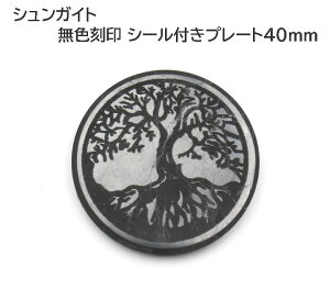 VKCg F 40mm 1 @c[IuCt GlM[ nCx̏ COł͓dgh~v[gƂ shunplate40