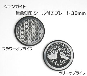 y11/1.2 10%OFFN[|zVKCg F 30mm 1 t[IuCt/c[IuCt GlM[ nCx̏ COł͓dgh~v[gƂ shunplate30