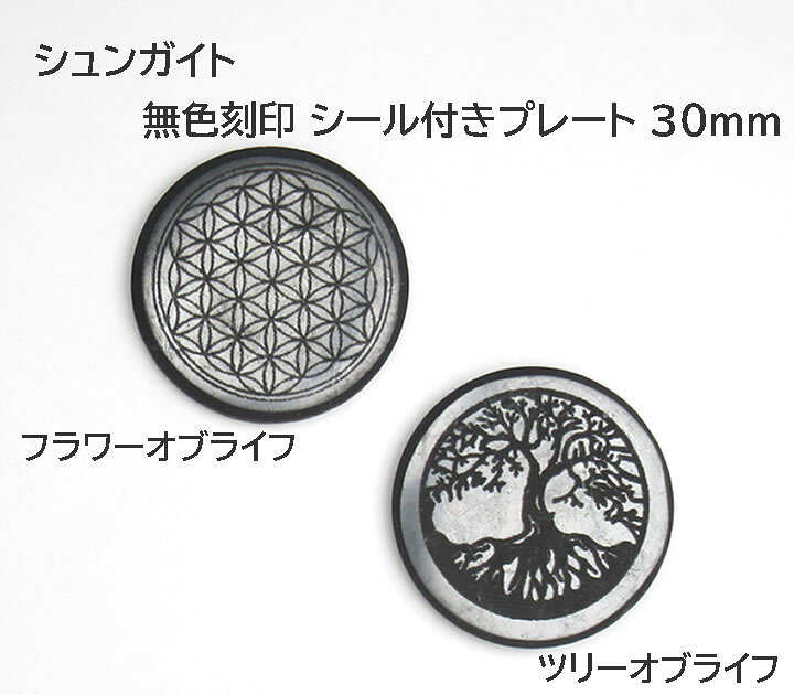 楽天市場】シュンガイト 無色刻印 30mm 1個 フラワーオブライフ/ツリー 