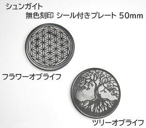 VKCg F 50mm@1 t[IuCt/c[IuCt GlM[ nCx̏ COł͓dgh~v[gƂ shunplate50