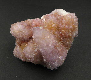 XsbgNH[c 55g {[PzEgY T{e S݂Ƃ̈̉̔F lKeBu𕥂͂ȏ spirit042