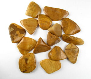 y5%OFFN[| 11/3-5 zCG[WXp[^u 1yH&EЁzA[cCgtFiJCgȂǂƈꏏ lVp^[肳 p[Xg[ yjas018