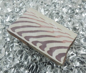 y11/1.2 10%OFFN[|zV[hIuCt ( ̎ ) AȂ݈̑Ӌ`Ɗwт [uXg[ zebura004