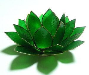 [^XLhz_[EJsXL/n[g`NΉO[15cm @̉Ԓu [^X̐F̌`ɍL!ґz╔̏ h009