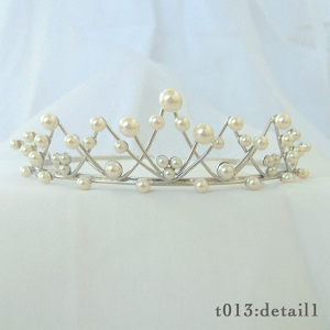 eBA T013 S[h/Vo[@EFfBOEuC_Ep[eB[ANZT[@NX^KXgp@{