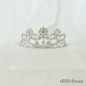 eBAR[t T025 S[h/Vo[@EFfBOEuC_Ep[eB[ANZT[@NX^KXgp@{