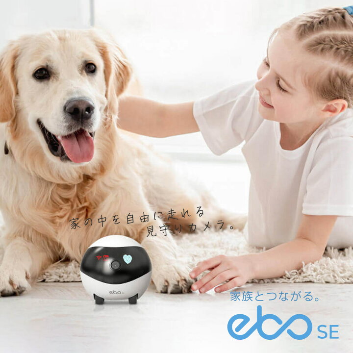 楽天市場】ペットカメラ 見守りカメラ EBO SE 見守り ロボット スマホ 