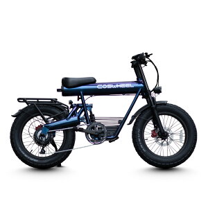 yNEWJ[ ACICg 䐔zd] NEW COSWHEEL MIRAI COMFORT 20C` dAVXg] e-bike t@bg^C ʋ ʊw ɂ  ^F 擾ς