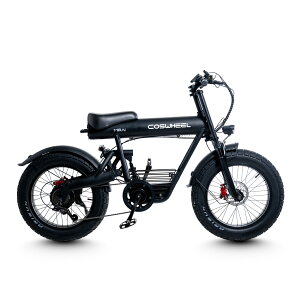 �d�����]�� COSWHEEL MIRAI COMFORT 20�C���` �d���A�V�X�g���]�� �ɑ��^�C�� e-bike �t�@�b�g�^�C�� �ʋ� �ʊw �ɂ� �������� �^���F�� �擾�ς�