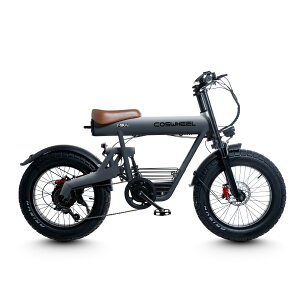 �d�����]�� COSWHEEL MIRAI COMFORT 20�C���` �d���A�V�X�g���]�� �ɑ��^�C�� e-bike �t�@�b�g�^�C�� �ʋ� �ʊw �ɂ� �������� �^���F�� �擾�ς�