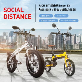電動バイク 公道走行可 電動スクーター モペット 折り畳み式 スマートeバイク ハイブリッドサンドバイク スノーバイク 次世代SmartEV RICHBIT TOP016 送料無料