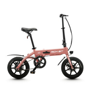 RICHBIT XgAyʌ AEgbgZ[zdAVXg] RICHBIT CITY ASSIST ^F 14C` ^ y s\ ܂肽  ʋ ʊw E-Bike d] ~jx