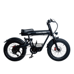 yԌ ALAv[gzd] NEW COSWHEEL MIRAI COMFORT 20C` dAVXg] e-bike t@bg^C ʋ ʊw ɂ  ^F 擾ς
