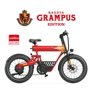 dAVXg] COSWHEEL MIRAI SPORTY OpX GfBV 20C` t@bg^C ʋ ʊw ɂ 