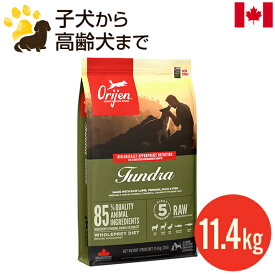 オリジン ツンドラ ドッグ 11.4kg (正規品) ドッグフード 穀物不使用 全年齢用 総合栄養食 賞味期限2024.10.27